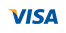 Pay with visa