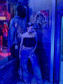 Picture of ''Born to Die'' Limited Edition Bustier Top