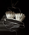Picture of Seashell Bra Top Ivory White